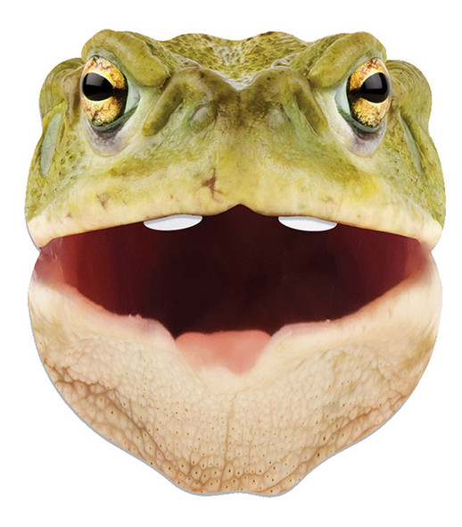Toad Animal Single 2D Card Party Face Mask Toad Animal Single 2D Card Party Face Mask