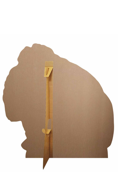 Rear of Duke from The Secret Life Of Pets 2 Cardboard Cutout / Standup