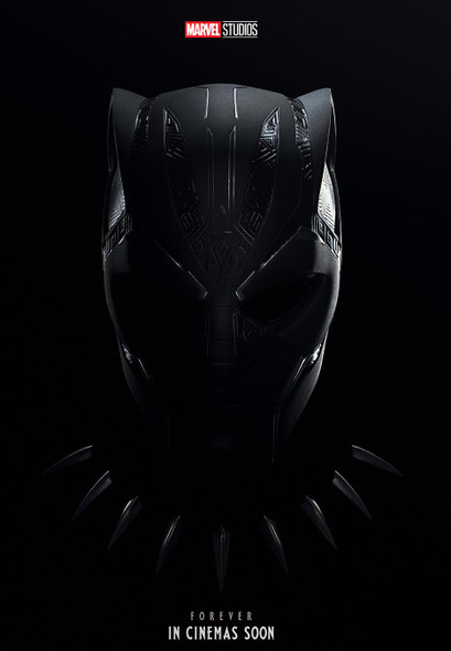 Black Panther Wakanda Forever Original Movie Poster - Advance Style