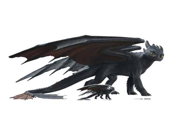 Toothless How To Train Your Dragon Cardboard Cutout Live Action Style
