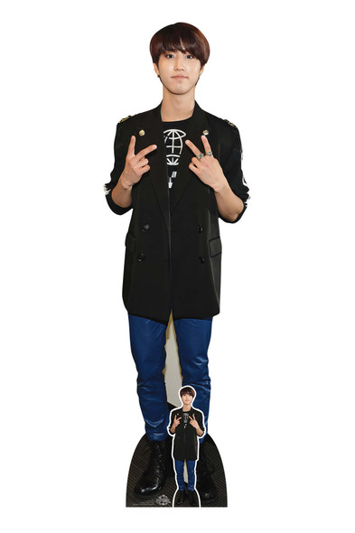 Han K-pop Singer Lifesize Cardboard Cutout / Standee