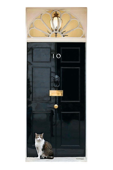  Larry the Cat at 10 Downing Street Lifesize Cardboard Cutout / Standee