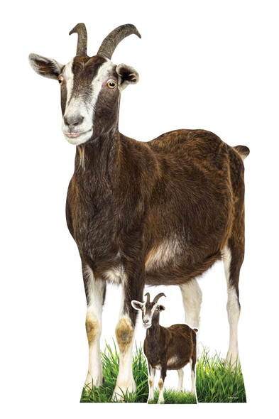Goat Lifesize Cardboard Cutout Farm Animal Standee / Standup