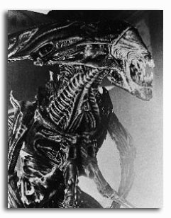 (SS219583)  Aliens Movie Photo