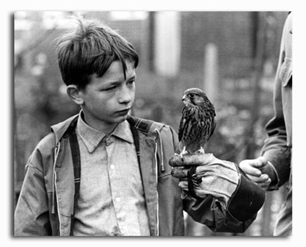 (SS2430493) David Bradley  Kes Movie Photo