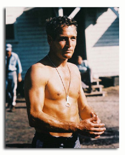 (ss2762682) Paul Newman Coole Hand Luke Filmfoto