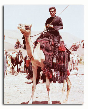 (SS3179774) Omar Sharif  Lawrence of Arabia Movie Photo