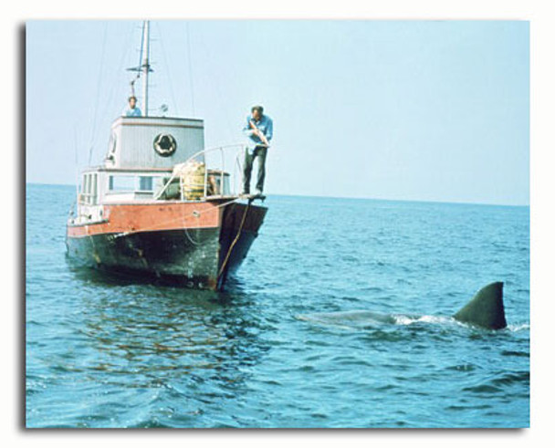 (SS3498625) Robert Shaw  Jaws Movie Photo