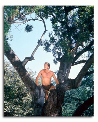 (SS3522376) Ron Ely  Tarzan Movie Photo