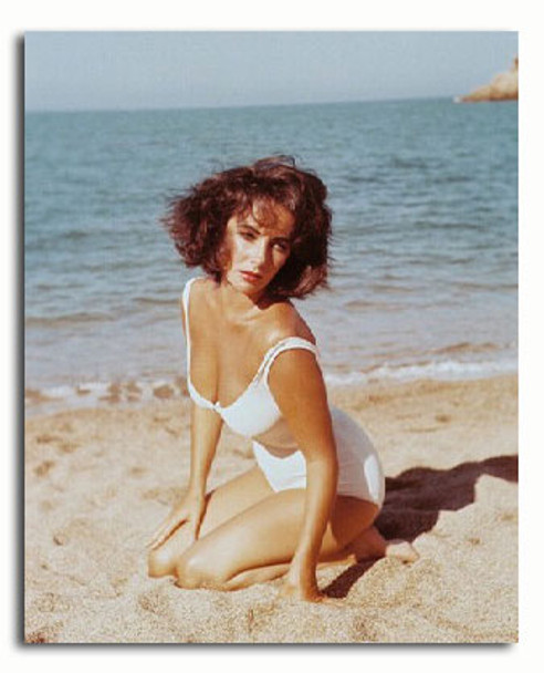 (SS3144531) Elizabeth Taylor  Suddenly, Last Summer Movie Photo