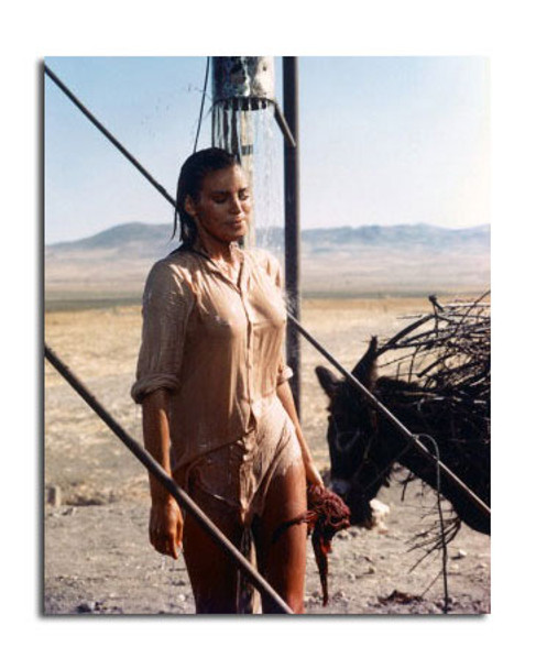 Raquel Welch Movie Photo (SS3620019)