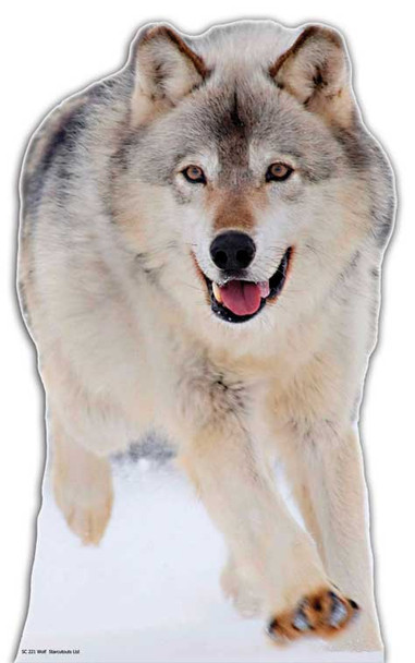 Wolf – lebensgroßer Pappaufsteller / Standee