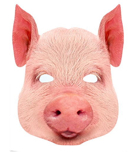 Pig Animal Card Party Face Mask