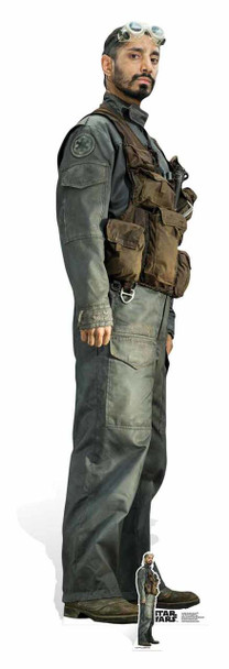 Bodhi Rook Lifesize Cardboard Cutout 