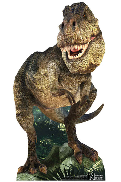 Tyrannosaurus Rex Dinosaur Natural History Museum Mini Cardboard Cutout 