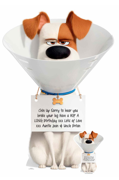 Max de hond Secret Life Of Pets gepersonaliseerde kartonnen uitsnede opkin-up voorbeeld