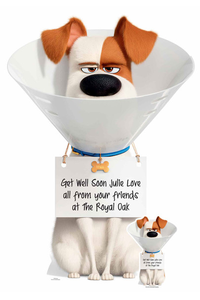 Max the dog Secret Life Of Pets personalised cardboard cutout get well soon example