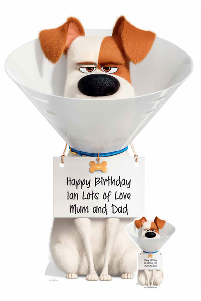 Max, der Hund Secret Life Of Pets, Beispiel für einen personalisierten Pappaufsteller „Alles Gute zum Geburtstag“.