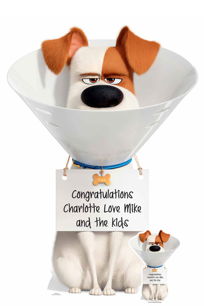 Max, der Hund Secret Life Of Pets, Beispiel für personalisierte Glückwünsche aus Pappe