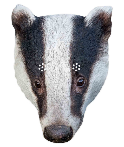 Badger 2D Animal Single Card Party Mask