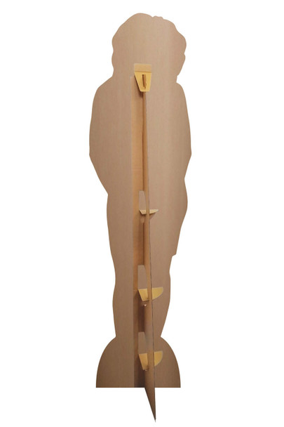 Rear of Tina Turner Singer Cardboard Cutout / Standee / Stand Up