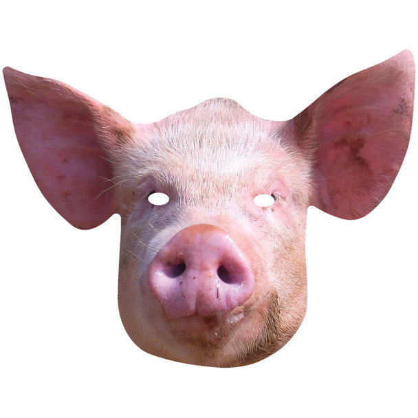 Schwein 2D-Tier-Einzelkarten-Partymaske 