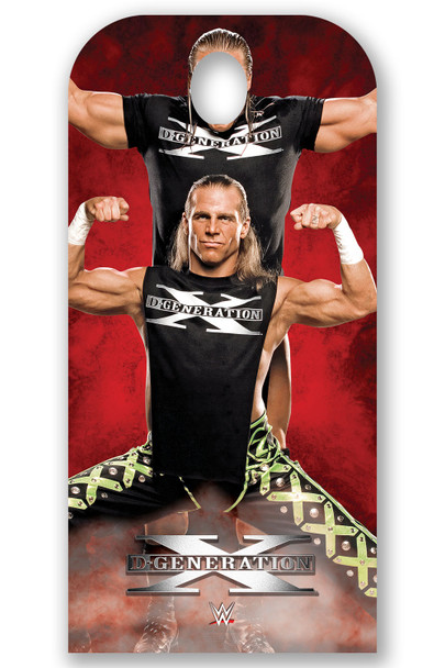 Figura de cartón de tamaño natural suplente de D-Generation X WWE / persona de pie