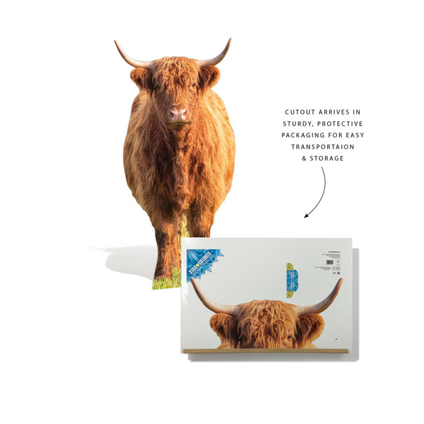 Packaging information of Highland Cow Cardboard Cutout 