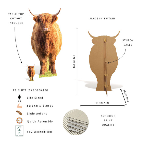 Features of Highland Cow Cardboard Cutout