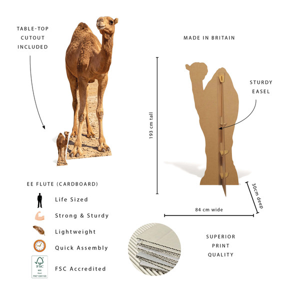 Cutout features