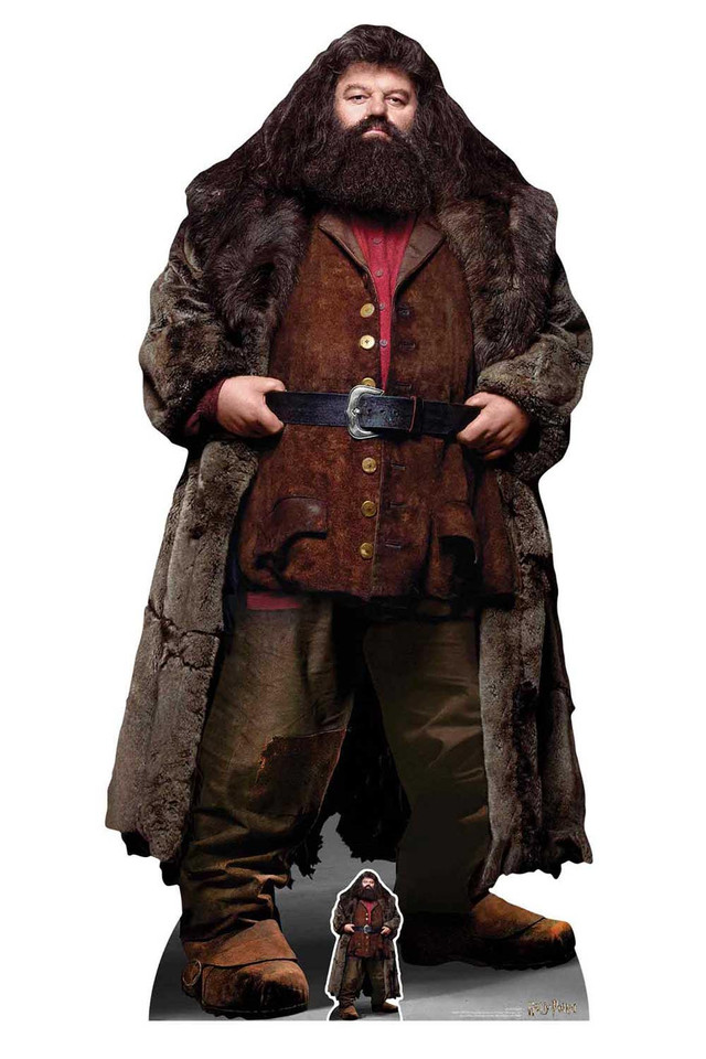 Hagrid From Harry Potter Large Cardboard Cutout Buy Cutouts Standups Hagrid From Harry Potter Large Cardboard Cutout Buy Cutouts Standups