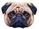 Pug Dog Single Card Party Face Mask