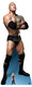 De Rock Dwayne Johnson armen gekruist WWE levensgrote kartonnen uitsnede 