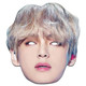 V from BTS Bangtan Boys 2D Card Party Face Mask