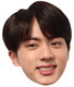 Jin from BTS Bangtan Boys 2D Card Party Face Mask