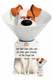 Max le chien Secret Life Of Pets découpe en carton personnalisée guérissez-vous bientôt exemple