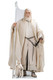 Gandalf the White from The Lord of the Rings Lifesize Cardboard Cutout / Standee