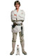 Luke Skywalker White Robe from Star Wars Cardboard Cutout Official Standee 