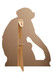 Rear of Chimpanzee Monkey Lifesize Cardboard Cutout / Standup / Standee