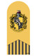 Hufflepuff Emblem Cardboard Backdrop Official Harry Potter Standee