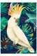 Cockatoo print