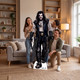 Lobo lifestyle image