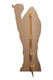 Rear of Camel Lifesize Cardboard Cutout Desert Animal Standee