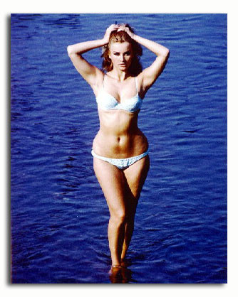 SS2939495) Movie picture of Barbara Bouchet buy celebrity photos