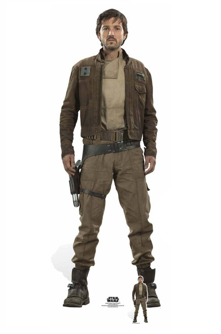 Captain Cassian Andor from Star Wars Rogue One