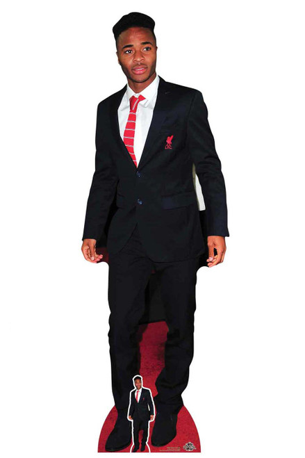 Harry Kane Lifesize and Mini Cardboard Cutout Standee Standup Footballer Harry Kane Lifesize and Mini Cardboard Cutout Standee Standup Footballer