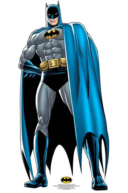 dinsdag Aanbevolen tij Batman Cape Comic Mini Cardboard Cutout Superhero Standup