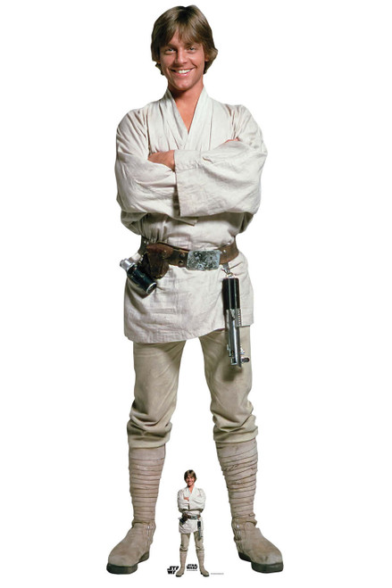 当時物 スターウォーズ ルークスカイウォーカー スタンディングパネル Amazon | メタコレ スター・ウォーズ #06 ルーク・スカイ