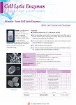 Cell Lytic Enzymes