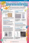 Neuronal Antibodies